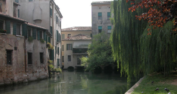 Un canale tranquillo di Treviso fiancheggiato da edifici antichi a più piani con persiane chiuse, un salice piangente sulla destra, toni verdi e ocra riflessi nell'acqua